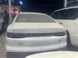 بي واي دي سيل 05 DM-i